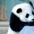 Shiroemon Love Panda