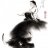 _Miu Nguyễn_