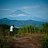 nguyenhung_it84
