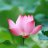 ThanhTam_Tran