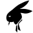 haitran2302