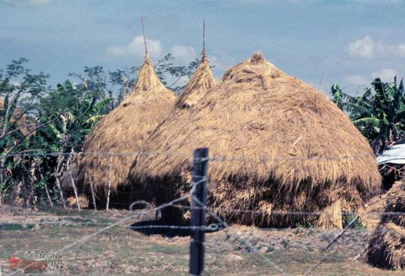 Tháng 1/1969. Những đụn rơm.