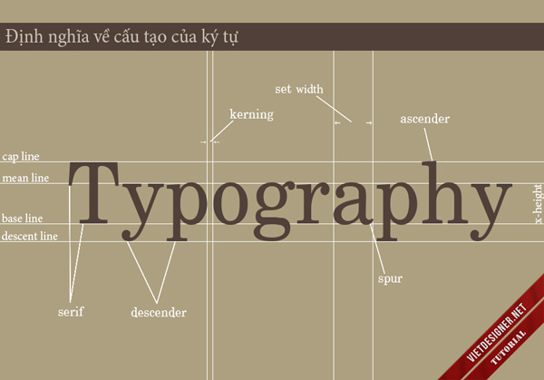 Các quy ước và định nghĩa cơ bản về ký tự trong Typography